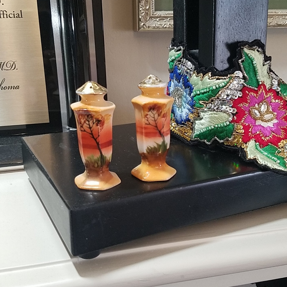 PAINTED SALT AND PEPPER SHAKERS. $12